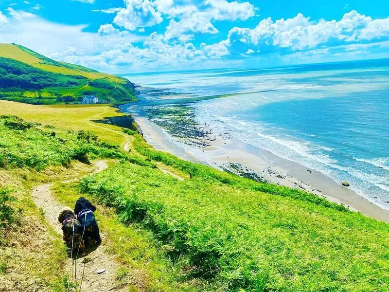 Borth-Aberystwyth Coastal Walk